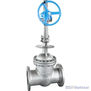 Gear operated DN300 PN40 CF8 stainless steel cryogenic flanged gate valve with extended bonnet