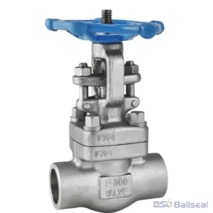 F304 forged stainless steel socket weld gate valve Class 800 with bolted bonnet
