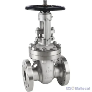 2 inch CF8M stainless steel flanged gate valve Class 300 with OS&Y