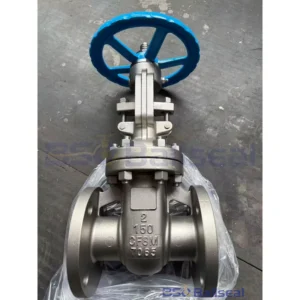 2 Inch Class 150 CF8M Stainless Steel Flanged Gate Valve