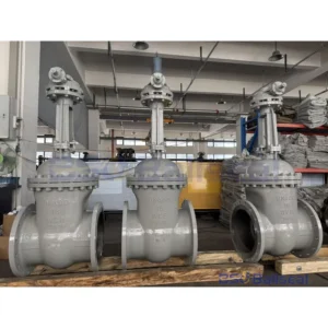 DN400 PN16 WCB Flanged Gate Valve Real Shot