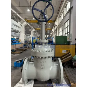 DN500 PN64 WCB Heavy Duty Cast Steel Flanged Gate Valve